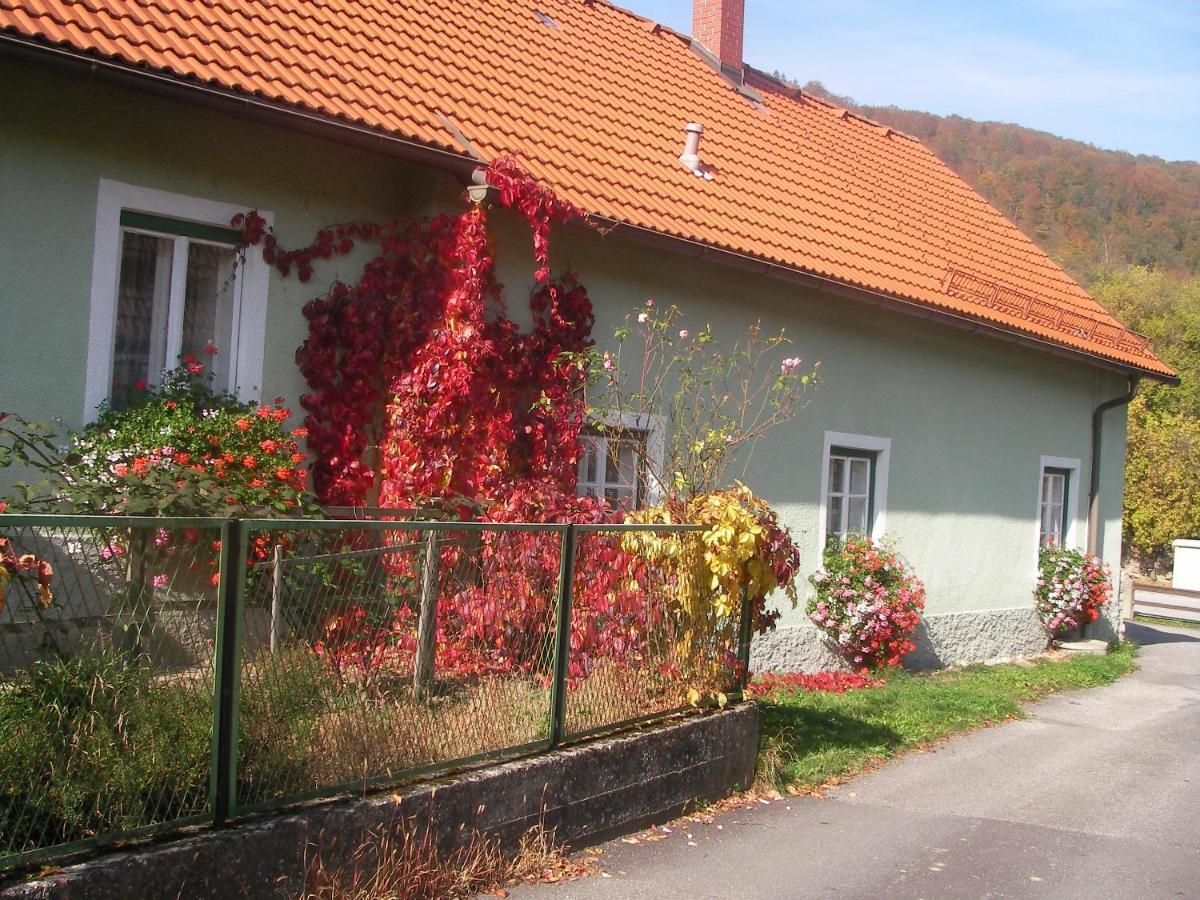 Haus Gerstbauer Apartment Aggsbach Exterior foto